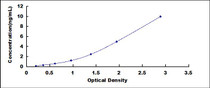 Typical Standard Curve for SRD5a1 ELISA (Sandwich)