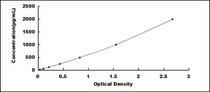 Typical Standard Curve for TIMP2 ELISA (Sandwich)
