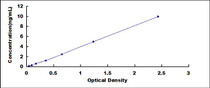 Typical Standard Curve for TNFRSF7 ELISA (Sandwich)
