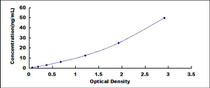 Typical Standard Curve for UCHL1 ELISA (Sandwich)