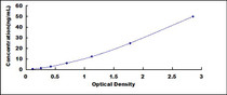 Typical Standard Curve for CYP3A7 ELISA (Sandwich)