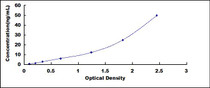 Typical Standard Curve for UCHL1 ELISA (Sandwich)