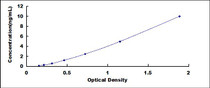 Typical Standard Curve for WNT5A ELISA (Sandwich)