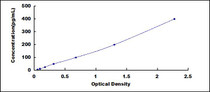 Typical Standard Curve for ADAM8 ELISA (Sandwich)