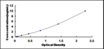 Typical Standard Curve for AGK ELISA (Sandwich)