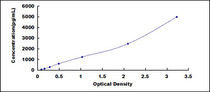 Typical Standard Curve for AhR ELISA (Sandwich)