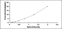 Typical Standard Curve for AhR ELISA (Sandwich)