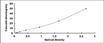 Typical Standard Curve for ASNS ELISA (Sandwich)
