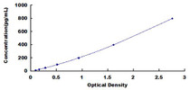 Typical Standard Curve for BAFF ELISA (Sandwich)