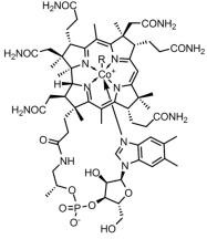 OVA Conjugated Cyanocobalamin (CNCbl), RPU50839