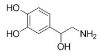 OVA Conjugated Noradrenaline (NE), RPU51016