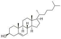 OVA Conjugated Cholesterol (CH), RPU51093