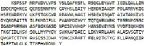 Recombinant Carboxypeptidase A4 (CPA4), RPU51979