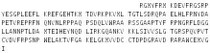 Recombinant Phospholipase A2, Calcium Independent (iPLA2), RPU52001