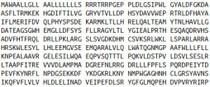 Recombinant Prostaglandin I Synthase (PTGIS), RPU52017