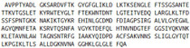 Recombinant Voltage Dependent Anion Channel Protein 1 (VDAC1), RPU52906
