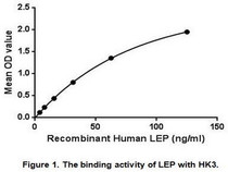 Leptin is a hormone made by adipose cells that helps to regulate energy balance by inhibiting hunger. Many of leptin's effects are mediated through neuropeptide- containing neurons and neuropeptide receptors in the hypothalamus. Although regulation of fat stores is deemed to be the primary function of leptin, it also plays a role in other physiological processes, as evidenced by its multiple sites of synthesis other than fat cells, and the multiple cell types beside hypothalamic cells that have leptin receptors. Besides, Hexokinase 3, White Cell (HK3) has been identified as an interactor of LEP, thus a binding ELISA assay was conducted to detect the interaction of recombinant human LEP and recombinant human HK3. Briefly, LEP were diluted serially in PBS, with 0.01% BSA (pH 7.4). Duplicate samples of 100uL were then transferred to HK3-coated microtiter wells and incubated for 2h at 37℃. Wells were washed with PBST and incubated for 1h with anti-LEPpAb, then aspirated and washed 3 times. After incubation with HRP labelled secondary antibody, wells were aspirated and washed 3 times. With the addition of substrate solution, wells were incubated 15-25 minutes at 37℃. Finally, add 50µL stop solution to the wells and read at 450nm immediately. The binding activity of of LEP and HK3 was shown in Figure 1, and this effect was in a dose dependent manner.