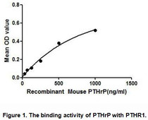 PTHrP (Parathyroid Hormone Related Protein ) is a neuroendocrine peptide which is a critical regulator of cellular and organ growth, development, migration, differentiation and survival and of epithelial calcium ion transport. Regulates endochondral bone development and epithelial-mesenchymal interactions during the formation of the mammary glands and teeth. A binding ELISA assay was conducted to detect the association of PTHrP with PTHR1. Briefly, PTHrP were diluted serially in PBS, with 0.01%BSA (pH 7.4). Duplicate samples of 100uL PTHrP were then transferred to PTHR1-coated microtiter wells and incubated for 2h at 37℃. Wells were washed with PBST and incubated for 1h with anti-PTHrP pAb, then aspirated and washed 3 times. After incubation with HRP labelled secondary antibody, wells were aspirated and washed 3 times. With the addition of substrate solution, wells were incubated 15-25 minutes at 37℃. Finally, add 50µL stop solution to the wells and read at 450nm immediately. The binding activity of PTHrP and PTHR1 was shown in Figure 1, and this effect was in a dose dependent manner.