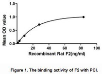 Coagulation Factor II (F2) also commonly called pro-thrombin is a coagulation protein in the blood stream that has many effects in the coagulation cascade. It is a serine protease that converts fibrinogen to fibrin and activates factors V, VII, VIII, XIII, and, in complex with thrombomodulin, protein C. Besides, Protein C Inhibitor (PCI) has been identified as an interactor of F2, thus a binding ELISA assay was conducted to detect the interaction of recombinant rat F2 and recombinant rat PCI. Briefly, F2 were diluted serially in PBS, with 0.01%BSA (pH 7.4). Duplicate samples of 100uL were then transferred to PCI-coated microtiter wells and incubated for 2h at 37℃. Wells were washed with PBST and incubated for 1h with anti-F2 pAb, then aspirated and washed 3 times. After incubation with HRP labelled secondary antibody, wells were aspirated and washed 3 times. With the addition of substrate solution, wells were incubated 15-25 minutes at 37℃. Finally, add 50µL stop solution to the wells and read at 450nm immediately. The binding activity of of F2 and PCI was shown in Figure 1, and this effect was in a dose dependent manner.
