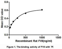 The main role of factor VII (FVII) is to initiate the process of coagulation in conjunction with tissue factor (TF). Tissue factor is found on the outside of blood vessels-normally not exposed to the bloodstream. Upon vessel injury, tissue factor is exposed to the blood and circulating FVII. Once bound to TF, FVII is activated to FVIIa by different proteases, among which are thrombin (factor IIa), factor Xa, IXa, XIIa, and the FVIIa-TF complex itself. Tissue Factor (TF) has been identified as an interactor of FVII, thus a binding ELISA assay was conducted to detect the interaction of recombinant rat FVII and recombinant rat TF. Briefly, FVII were diluted serially in PBS, with 0.01%BSA (pH 7.4). Duplicate samples of 100uL were then transferred to TF-coated microtiter wells and incubated for 2h at 37℃. Wells were washed with PBST and incubated for 1h with anti-FVII pAb, then aspirated and washed 3 times. After incubation with HRP labelled secondary antibody, wells were aspirated and washed 3 times. With the addition of substrate solution, wells were incubated 15-25 minutes at 37℃. Finally, add 50µL stop solution to the wells and read at 450nm immediately. The binding activity of of FVII and TF was shown in Figure 1, and this effect was in a dose dependent manner.