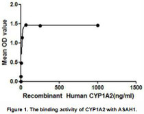 CYP1A2 (Cytochrome P450 1A2) belongs to the group of proteins which contains heme as a cofactor. CYP1A2 oxidizes a variety of structurally unrelated compounds, including steroids, fatty acids, and xenobiotics. Besides, ASAH1 (Acid ceramidase) has been identified as an interactor of CYP1A2 through affinity capture-MS. Thus a binding ELISA assay was conducted to detect the interaction of recombinant human CYP1A2 and recombinant human ASAH1. Briefly, CYP1A2 were diluted serially in PBS, with 0.01%BSA (pH 7.4). Duplicate samples of 100uL were then transferred to ASAH1-coated microtiter wells and incubated for 2h at 37°C. Wells were washed with PBST and incubated for 1h with anti-CYP1A2 mAb, then aspirated and washed 3 times. After incubation with HRP labelled secondary antibody, wells were aspirated and washed 3 times. With the addition of substrate solution, wells were incubated 15-25 minutes at 37℃. Finally, add 50µL stop solution to the wells and read at 450nm immediately. The binding activity of CYP1A2 and ASAH1 was shown in Figure 1, and this effect was in a dose dependent manner.