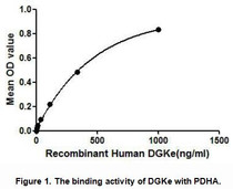 DGKe (Diacylglycerol kinase epsilon) is an enzyme that mainly involved in the regeneration of phosphatidylinositol (PI) from diacylglycerol in the PI-cycle during cell signal transduction. PDHA1 (Pyruvate dehydrogenase E1 component subunit alpha) has been proven to be an interactor of DGKe through Affinity Capture-MS. Thus a binding ELISA assay was conducted to detect the interaction of recombinant human DGKe and recombinant human PDHA. Briefly, DGKe were diluted serially in PBS, with 0.01%BSA (pH 7.4). Duplicate samples of 100uL DGKe were then transferred to PDHA-coated microtiter wells and incubated for 2h at 37°C. Wells were washed with PBST and incubated for 1h with anti-DGKe pAb, then aspirated and washed 3 times. After incubation with HRP labelled secondary antibody, wells were aspirated and washed 3 times. With the addition of substrate solution, wells were incubated 15-25 minutes at 37°C. Finally, add 50µL stop solution to the wells and read at 450nm immediately. The binding activity of DGKe and PDHA was shown in Figure 1, and this effect was in a dose dependent manner.