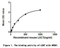 LCAT (Phosphatidylcholine-sterol acyltransferase) is an enzyme in the extracellular metabolism of plasma lipoproteins, which converts cholesterol and phosphatidylcholines (lecithins) to cholesteryl esters and lysophosphatidylcholines. It is reported that APOA1 (Apolipoprotein A-I) acts as a cofactor for the LCAT. Thus, a binding ELISA assay was conducted to detect the association of LCAT with APOA1. Briefly, recombinant rat LCAT were diluted serially in PBS with 0.01% BSA (pH 7.4). Duplicate samples of 100uL were then transferred to APOA1-coated microtiter wells and incubated for 2h at 37°C. Wells were washed with PBST and incubated for 1h with anti-LCAT pAb, then aspirated and washed 3 times. After incubation with HRP labelled secondary antibody, wells were aspirated and washed 3 times. With the addition of substrate solution, wells were incubated 15-25 minutes at 37°C. Finally, add 50µL stop solution to the wells and read at 450nm immediately. The binding activity of LCAT with APOA1 was shown in Figure 1 and this effect was in a dose dependent manner.