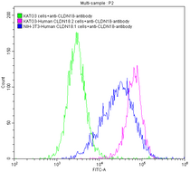 Untransfected KATO3 cells (green line), transfected Human CLDN18.2 KATO3 stable cells (red line) and transfected Human CLDN18.1 NIH-3T3 stable cells (blue line) were stained with anti-CLDN18.2 antibody (2µg/1*106cells), washed and then followed by FITC-conjugated anti-Human IgG Fc antibody and analyzed with flow cytometry.