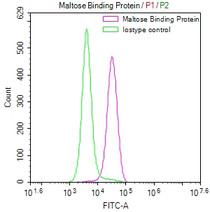 Overlay Peak curve showing SH-SY5Y cells stained with RAC07111 (red line) at 1:50. The cells were fixed in 4% formaldehyde and permeated by 0.2% TritonX-100. Then 10% normal goat serum to block non-specific protein-protein interactions followed by the antibody (1ug/1*106cells) for 45min at 4?. The secondary antibody used was FITC-conjugated Goat Anti-rabbit IgG(H+L) at 1:200 dilution for 35min at 4?.Control antibody (green line) was rabbit IgG (1ug/1*106cells) used under the same conditions. Acquisition of >10,000 events was performed.