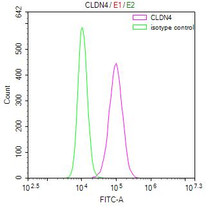 Overlay Peak curve showing MCF7 cells stained at 1:100. Then 10% normal goat serum was Incubated to block non-specific protein-protein interactions followed by the antibody (1ug/1*106cells) for 45 min at 4°C. The secondary antibody used was FITC-conjugated Goat Anti-Mouse IgG(H+L) at 1/200 dilution for 35 min at 4°C. Isotype control antibody (green line) was mouse IgG1 (1ug/1*106cells) used under the same conditions. Acquisition of >10,000 events was performed.