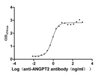 The Binding Activity of ANGPT2 with anti-ANGPT2 antibody; Activity: Measured by its binding ability in a functional ELISA. Immobilized Human ANGPT2 at 2 ug/ml can bind Anti-ANGPT2 recombinant antibody, the EC50 is 0.6666-0.8876 ng/ml.