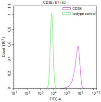 Overlay Peak curve showing JK cells stained with RAC07838 (red line) at 1:100. Then 10% normal goat serum was Incubated to block non-specific protein-protein interactions followed by the antibody (1ug/1*106cells) for 45 min at 4°C. The secondary antibody used was FITC-conjugated Goat Anti-Mouse IgG(H+L) at 1/200 dilution for 35 min at 4°C. Isotype control antibody (green line) was mouse IgG1 (1ug/1*106cells) used under the same conditions. Acquisition of >10, 006 events was performed.