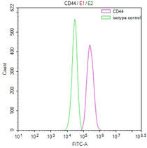 Overlay Peak curve showing Hela cells stained with RAC07840 (red line) at 1:100. Then 10% normal goat serum was Incubated to block non-specific protein-protein interactions followed by the antibody (1ug/1*106cells) for 45 min at 4°C. The secondary antibody used was FITC-conjugated Goat Anti-Mouse IgG(H+L) at 1/200 dilution for 35 min at 4°C. Isotype control antibody (green line) was mouse IgG1 (1ug/1*106cells) used under the same conditions. Acquisition of >10, 000 events was performed.