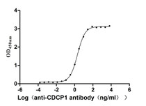 The Binding Activity of Macaca fascicularis CDCP1 with Anti-CDCP1 recombinant antibody; Activity: Measured by its binding ability in a functional ELISA. Immobilized Macaca fascicularis CDCP1 at 2 ug/ml can bind Anti-CDCP1 recombinant antibody, the EC50 is 1.861-2.330 ng/ml.