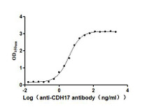 The Binding Activity of Human CDH17 with Anti-CDH17 Recombinant Antibody; Activity: Measured by its binding ability in a functional ELISA. Immobilized Human CDH17 at 2 ug/ml can bind Anti-CDH17 recombinant antibody, the EC50 is 3.095-4.451 ng/ml.