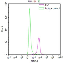 Overlay Peak curve showing 3T3 cells stained with RAC07870 (red line) at 1:50. Then 10% normal goat serum was Incubated to block non-specific protein-protein interactions followed by the antibody (1ug/1*106cells) for 45 min at 4°C. The secondary antibody used was FITC-conjugated Goat Anti-Mouse IgG(H+L) at 1/200 dilution for 35 min at 4°C. Isotype control antibody (green line) was mouse IgG1 (1ug/1*106cells) used under the same conditions. Acquisition of >10, 000 events was performed.