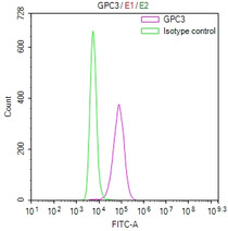 Overlay Peak curve showing THP-1 cells stained with RAC07879 (red line) at 1:100. Then 10% normal goat serum was Incubated to block non-specific protein-protein interactions followed by the antibody (1ug/1*106cells) for 45 min at 4°C. The secondary antibody used was FITC-conjugated Goat Anti-Mouse IgG(H+L) at 1/200 dilution for 35 min at 4°C. Isotype control antibody (green line) was mouse IgG1 (1ug/1*106cells) used under the same conditions. Acquisition of >10, 010 events was performed.