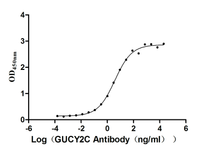 The Binding Activity of Huamn GUCY2C with Anti-GUCY2C recombinant Antibody.; Activity: Measured by its binding ability in a functional ELISA. Immobilized human GUCY2C at 5 ug/ml can bind Anti-GUCY2C recombinant antibody, the EC50 is 3.049-4.660 ng/ml.