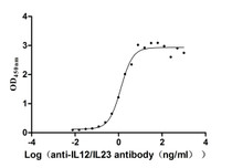 The Binding Activity of IL12B&IL12A with Anti-IL12/IL23 monoclonal antibody; Activity: Measured by its binding ability in a functional ELISA. Immobilized Human IL12B&IL12A at 1 ug/ml can bind Anti-IL12/IL23 recombinant antibody, the EC50 is 1.042-1.545 ng/ml.