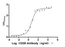 The Binding Activity of Human CD20 with Anti-CD20 recombinant Antibody; Activity: Measured by its binding ability in a functional ELISA. Immobilized Human CD20 at 2 ug/ml can bind Anti-CD20 recombinant antibody, the EC50 is 3.243-7.085 ng/ml.