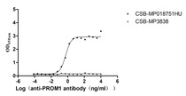 The Binding Activity of PROM1 with Anti-PROM1 recombinant antibody; Activity: Measured by its binding ability in a functional ELISA. Immobilized PROM1 at 5 ug/ml can bind Anti-PROM1 recombinant antibody, the EC50 is 0.4322-0.7189 ng/ml.