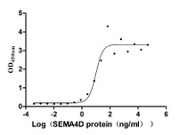 The Binding Activity of Mouse Sema4d with Anti-SEMA4D recombinant antibody; Activity: Measured by its binding ability in a functional ELISA. Immobilized Anti-SEMA4D recombinant antibody at 2 ug/ml can bind Mouse Sema4d, the EC50 is 5.829-16.86 ng/ml.