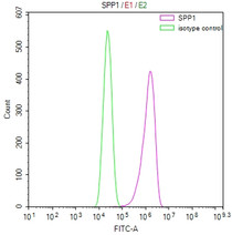 Overlay Peak curve showing A549 cells stained with RAC07933 (red line) at 1:100. Then 10% normal goat serum was Incubated to block non-specific protein-protein interactions followed by the antibody (1ug/1*106cells) for 45 min at 4°C. The secondary antibody used was FITC-conjugated Goat Anti-Mouse IgG(H+L) at 1/200 dilution for 35 min at 4°C. Isotype control antibody (green line) was mouse IgG1 (1ug/1*106cells) used under the same conditions. Acquisition of >10, 000 events was performed.