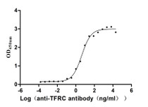The Binding Activity of Human TFRC with Anti-TFRC Recombinant Antibody; Activity: Measured by its binding ability in a functional ELISA. Immobilized Human TFRC at 2 ug/ml can bind Anti-TFRC recombinant antibody , the EC50 is 3.305-8.220 ng/ml.