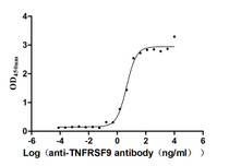 The Binding Activity of TNFRSF9 with anti-TNFRSF9 antibody; Activity: Measured by its binding ability in a functional ELISA. Immobilized TNFRSF9 at 2 ug/ml can bind Anti-TNFRSF9 antibody, the EC50 is 3.501-5.854 ng/ml.