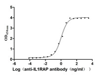 The Binding Activity of Macaca fascicularis IL1RAP with Anti-IL1RAP recombinant antibody Activity: Measured by its binding ability in a functional ELISA. Immobilized Macaca fascicularis IL1RAP at 2 ug/mL can bind Anti-IL1RAP recombinant antibody. The EC 50 is 0.9099-1.181 ng/mL.
