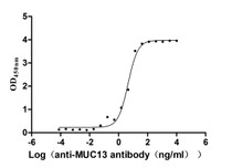 The Binding Activity of Human MUC13 with Anti-MUC13 recombinant antibody Activity: Measured by its binding ability in a functional ELISA. Immobilized Human MUC13 at 2 ug/mL can bind Anti-MUC13 recombinant antibody. The EC 50 is 3.806-5.269 ng/mL.