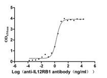 The Binding Activity of Human IL12RB1 with Anti-IL12RB1 recombinant antibody Activity: Measured by its binding ability in a functional ELISA. Immobilized human IL12RB1 at 2 ug/mL can bind Anti-IL12RB1 recombinant antibody. The EC 50 is 1.578-2.143 ng/mL.