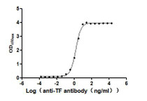 The Binding Activity of Human TF with Anti-TF Recombinant antibody Activity: Measured by its binding ability in a functional ELISA. Immobilized Human TF at 2 ug/mL can bind Anti-TF recombinant antibody. The EC 50 is 1.434-1.635 ng/mL.