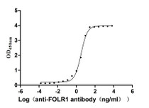 The Binding Activity of Cynomolgus FOLR1 with Anti-FOLR1 recombinant antibody Activity: Measured by its binding ability in a functional ELISA. Immobilized Cynomolgus FOLR1 at 2 ug/mL can bind Anti-FOLR1 recombinant antibody. The EC 50 is 2.900-3.544 ng/mL.